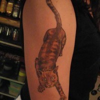 Wildkatze Tattoo in Farbe