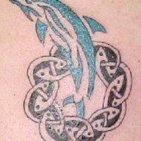 Celtic style dolphin tattoo