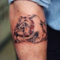 Spike dog arm tattoo