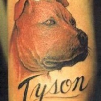 Tyson Dogo Argentino denkwürdiges Tattoo