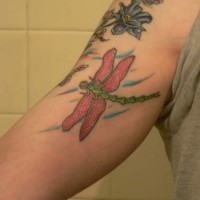 Farbige Libelle Tattoo am Arm
