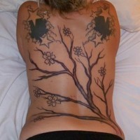 Tatuaje del guindo en flor en la espalda