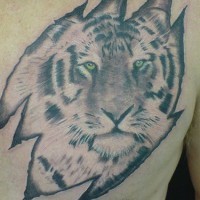 Tatuaggio sul petto tigre saggio