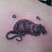 tatuaje en tinta negra de rata pequeña con símbolos