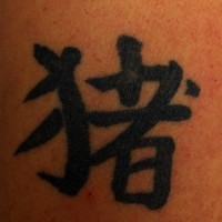 Schöne chinesische Hieroglyphe Tattoo