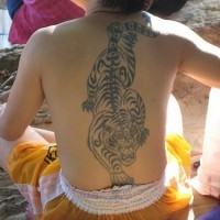 Tattoo im chinesischen Stil mit Tiger, der krabbelt am Rücken