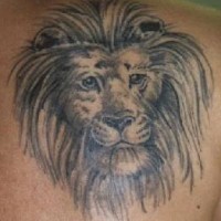 Old lion black ink tattoo