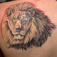 El tatuaje muy realista y detallado de la cabeza de un leon en color