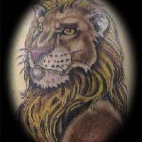 Humanized lion tattoo in colour