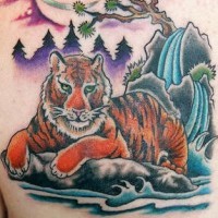 Tiger on rock under sakura tattoo  in colour