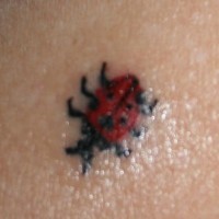 Tattoo mit winzigem Marienkäfer in Großaufnahme