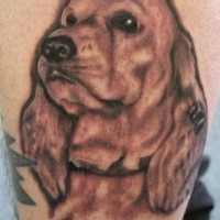 cane cocker spaniel tatuaggio