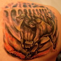 corrida scene con toro tatuaggio sulla schiena