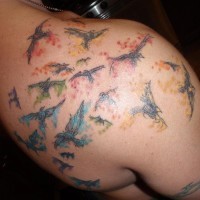 Colorful shoulder tattoo, pack of different, colourful birds flying