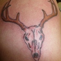 Tatuaje coloreado de la calavera de un ciervo.