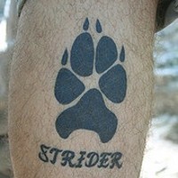 Strider dog paw print tattoo