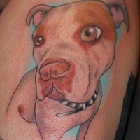 Coloured spotty pit bull terrier tattoo