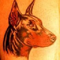Majestätischer Dobermann-Hund Tattoo