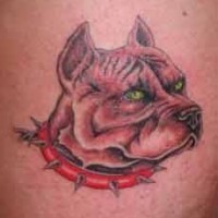 Hund in Stachelhalsband Tattoo