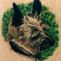 Coloured toy terrier dog tattoo