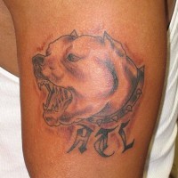 Barking pitbull tattoo