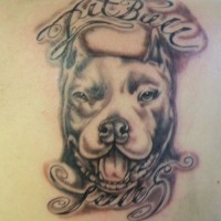 Pitbull schwarze Tinte Tattoo