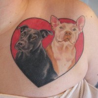 Zwei Hunde im Herzen farbiges Tattoo
