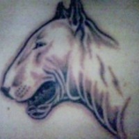 tatuaje de perfil de bull terrier blanco