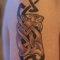 cane tribale trafori tatuaggio