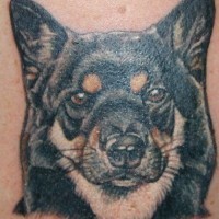 Collie dog coloured tattoo