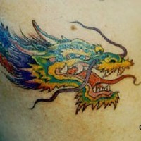 baffuto drago cinese tatuaggio in colore