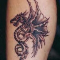 tatuaje en tinta negra de dragón serpiente con alas
