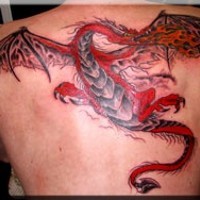 Roter Drache Tattoo am ganzen Rücken