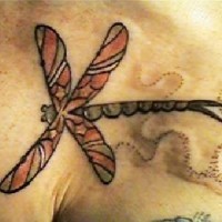 Farbiges Tattoo mit  Libelle