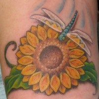 Dragonfly on sunflower tattoo in colour