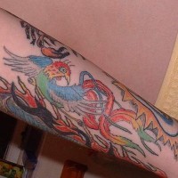 Colourful phoenix sleeve tattoo