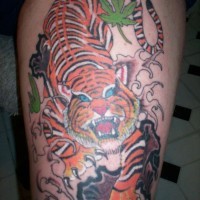 Colourful crawling tiger tattoo