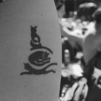 Le tatouage de silhouettes chats à l'encre noir