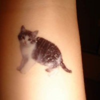 Buntes Tattoo mit sehr realistischem Kätzchen