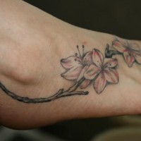 Le tatouage sur le pied de branche avec les beaux fleurs en floraison