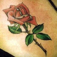 Tatuaje realistico de una rosa en tallo