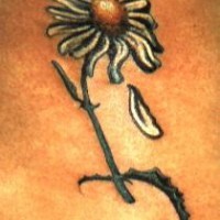 Le tatouage de fleur blanche avec un pétale tombant