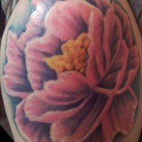 Tatuaggio colorato sulla spalla il fiore grande rosso
