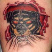 tatuaje de rottweiler con ojos rojos rasgando la piel