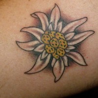 Tatuaje en el antebrazo, manzanilla bonita pequeña