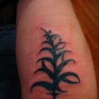 Black, thick plant of leaves forearm tattoo