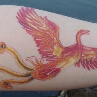 Tattoo von schönem rotgoldenem fliegendem Feuervogel am Unterarm