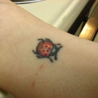 piccola rossa coccinella tatuaggio