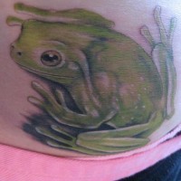 Realistic fat toad tattoo