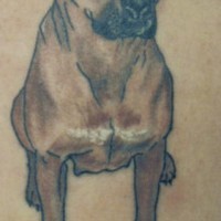 Doog Junge Mastiff Hund Tattoo